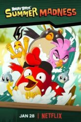 Angry bird